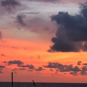 Meet your Posher, Debra